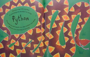 python 013 (640x480)