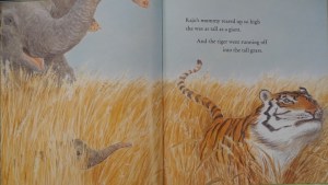 DSCN4626 (800x600) (2)