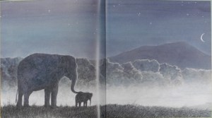 DSCN4628 (800x600) (2)