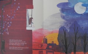 DSCN4632 (800x600) (2)