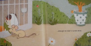 DSCN4952 (800x600) (2)