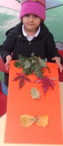 14th Nov. 498 (800x600)