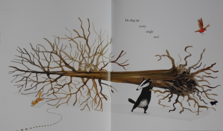 Tidy | Red Reading Hub – Jillrbennett's Reviews of Children's Books