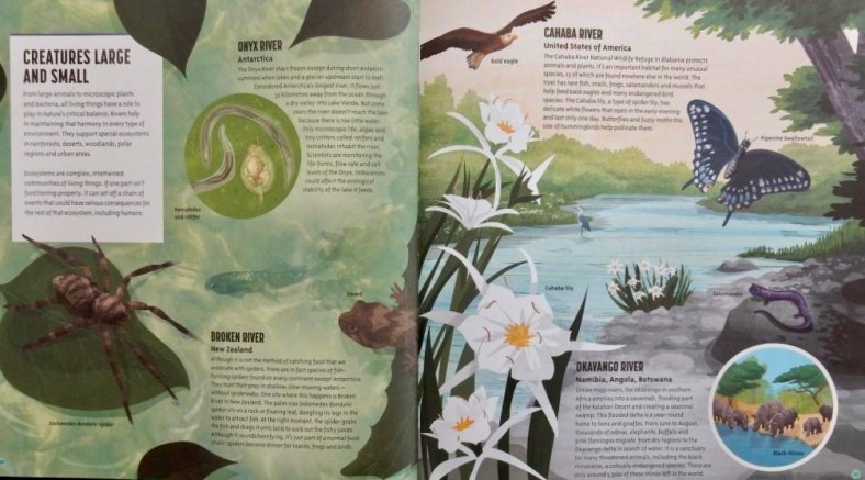 Amazing Rivers | Red Reading Hub – Jillrbennett's Reviews of Children's ...
