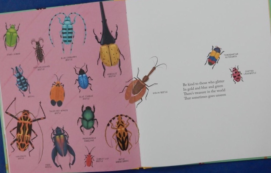Kind | Red Reading Hub – Jillrbennett's Reviews of Children's Books
