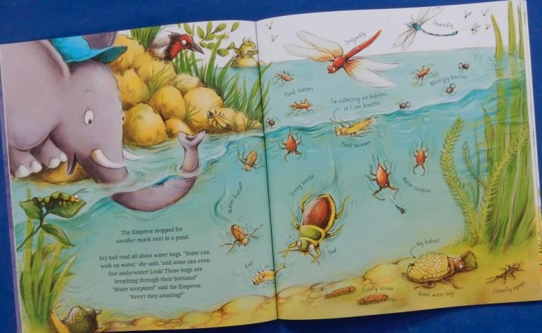 Animal Explorers: Ivy the Bug Hunter | Red Reading Hub – Jillrbennett's ...
