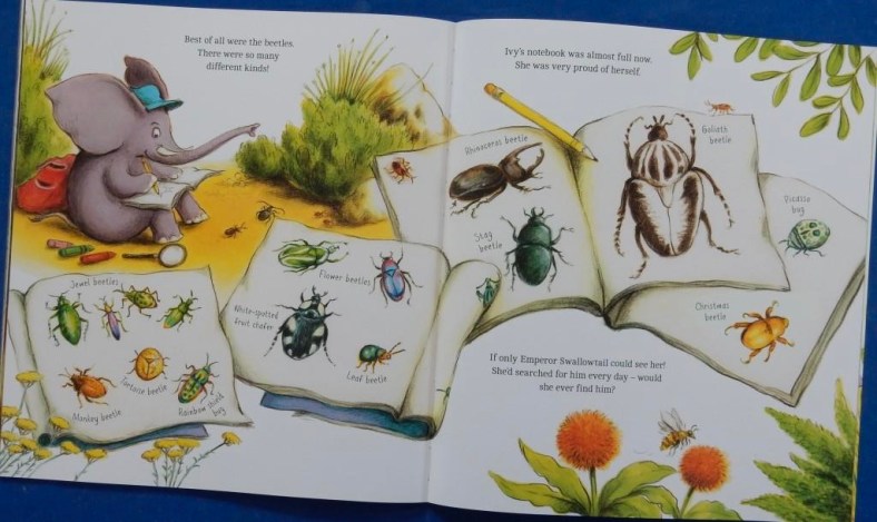 Animal Explorers: Ivy the Bug Hunter | Red Reading Hub – Jillrbennett's ...