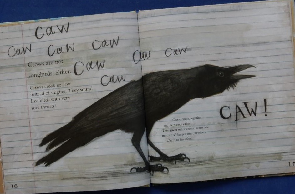 Learning Crow Clever Crow | Red Reading Hub – Jillrbennett's Reviews of Children's Books